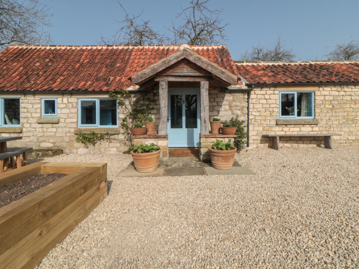 Foxglove Cottage يورك المظهر الخارجي الصورة
